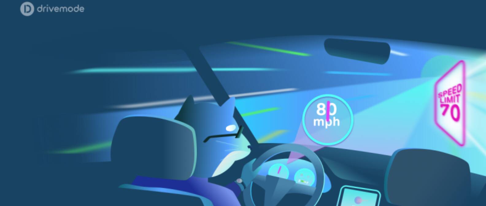 States Most Frequently Driving At Dangerously High Speeds